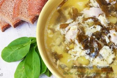 Щавелевый суп. суп из щавеля (кислятки)