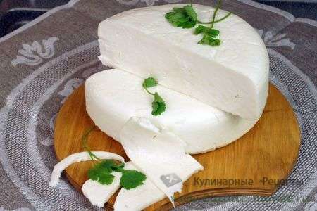 Сыр сулугуни. по мотивам грузинского рецепта
